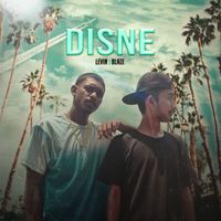 Levin - DISNE