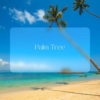 Various Artists - Palm Tree