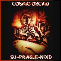Cosmic Orchid - Su-Pragle-Noid