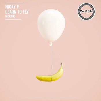 Nicky V - Learn to Fly