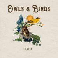 Frantic - Owls & Birds
