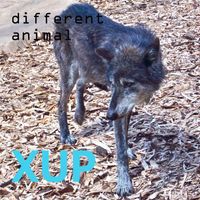 XUP - Different Animal (Explicit)