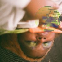 No Home - Young Professional