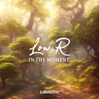 Low:r - In The Moment