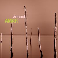 Armand Amar - Retrospective
