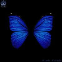 Micaele - Butterfly