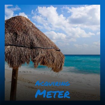 Various Artists - Acquiring Meter
