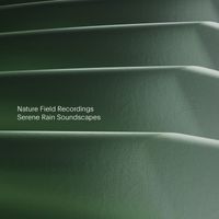 Nature Field Recordings - Serene Rain Soundscapes