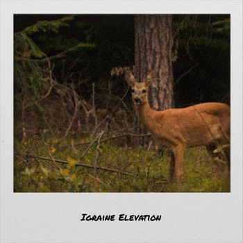 Various Artists - Igraine Elevation