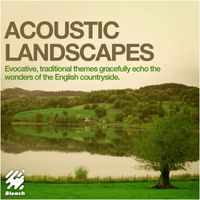 Bleach - Acoustic Landscapes