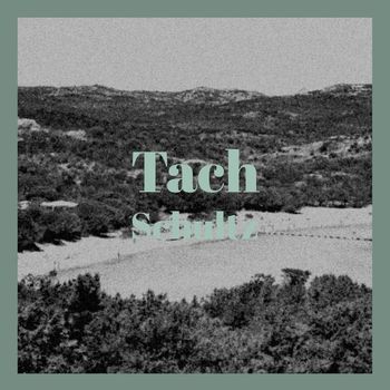 Various Artists - Tach Schultz