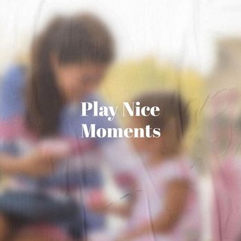 Various Artists - Play Nice Moments