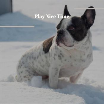 Various Artists - Play Nice Time