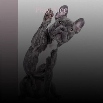Various Artists - Play Nice