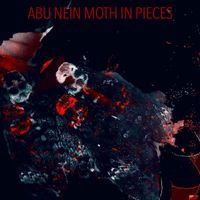 ABU NEIN - Moth in Pieces