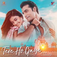 Yasser Desai - Tere Ho Gaye