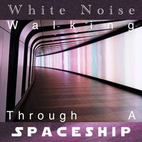 Pink Noise White Noise - White Noise, Walking Through a Spaceship