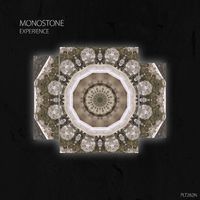 Monostone - Experience
