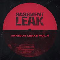 Basement Leak - Various Leaks Vol. 4