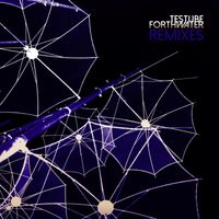 Testube - Forthwater (Remixes)
