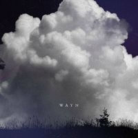 Wayn - 별이었다