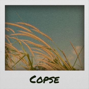 Various Artists - Copse