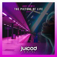 Andy Newtz - The Picture of Life