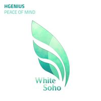 HGenius - Peace of Mind