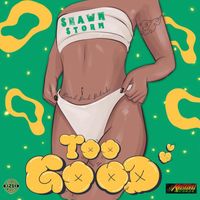 Shawn Storm - Too Good (Explicit)