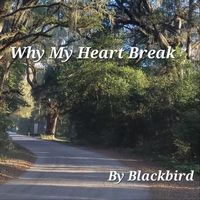 Blackbird - Why My Heart Break