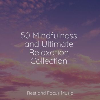 Ambient Forest, Tibetan Singing Bowls for Relaxation, Natureza Musica Bem-Estar Academia - 50 Mindfulness and Ultimate Relaxation Collection
