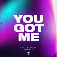 Soul Purpose - You Got Me (Remixes)