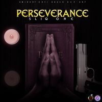 Sliq One - Perseverance