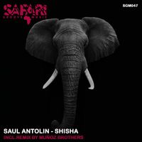 Saul Antolin - Shisha