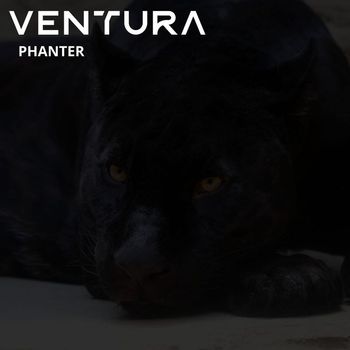 Ventura - Phanter
