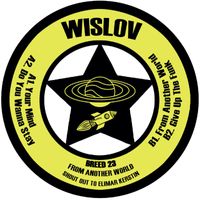 Wislov - From Another World EP