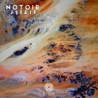Notoir - Hybrid