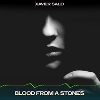 Xavier Salo - Blood from a Stones (Big Chill Mix, 24 Bit Remastered)