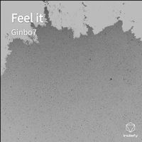 Ginbo7 - Feel it