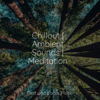 White Noise Relaxation, Pro Sound Effects Library, Shakuhachi Sakano - Chillout | Ambient Sounds | Meditation