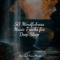 Calming Sounds, Musique Zen Garden, Zen - 50 Mindfulness Music Tracks for Deep Sleep