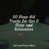 Música para Massagem Especialistas, White Noise Sleep Sounds, Study Power - 50 Sleep Aid Tracks for Spa & Sleep and Relaxation