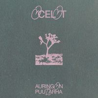 Ocelot - Auringon puutarha