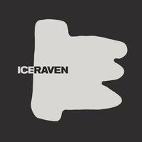 Nicolas Masseyeff - Ice Raven