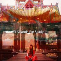 Forest Sounds - 31 Sounds For Studying