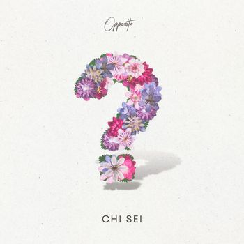 Opposite - chi sei