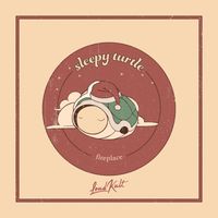 sleepy turtle - Fireplace