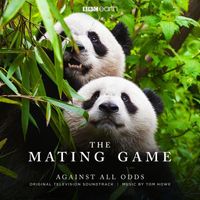 Tom Howe - The Mating Game - Against All Odds (Original Television Soundtrack)