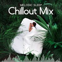 Electro Lounge All Stars - Melodic Sleep Chillout Mix
