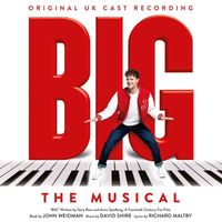 Various Artists - Big: The Musical (Original UK Cast Recording)
